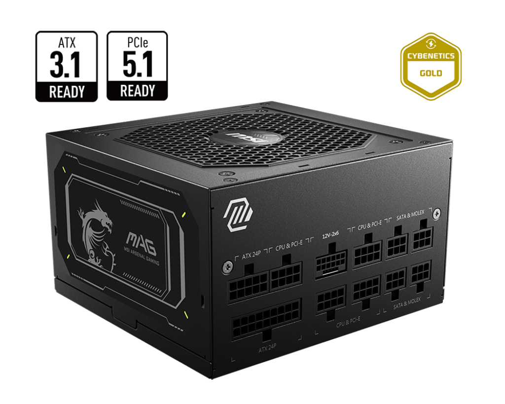 MSI MAG A750GL 750W PCIE5 II 80+ Gold Power Supply (306-7ZP8D11-CE0) - Afbeelding 5