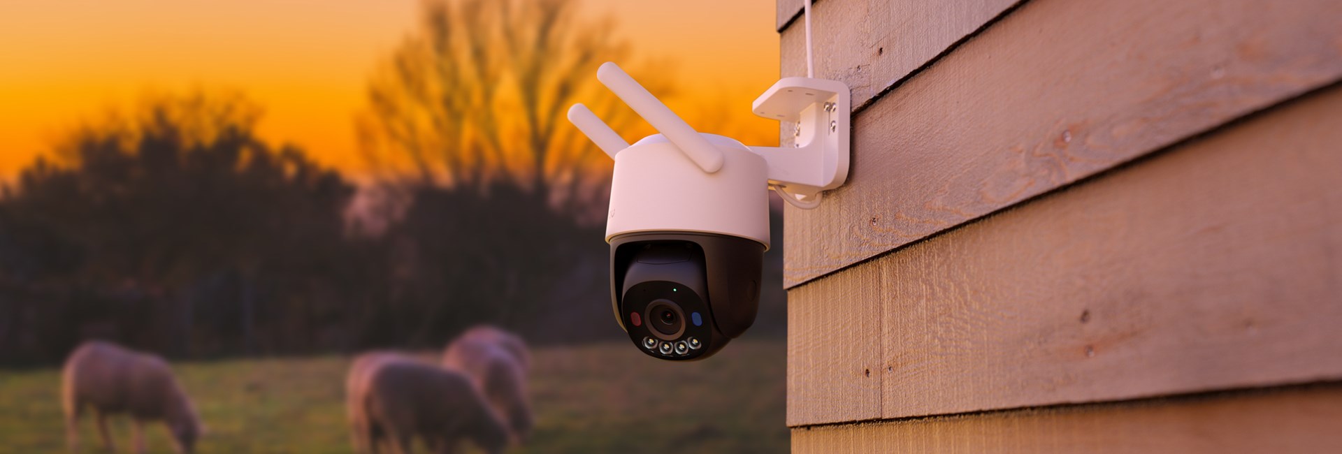 Imou Cruiser SC 4G 3MP Spherical IP security camera Outdoor 2304 x 1296 pixels Ceiling/wall - Afbeelding 5