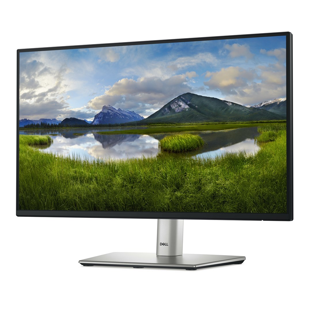 DELL P Series P2225H computer monitor 54.6 cm (21.5") 1920 x 1080 pixels Full HD LCD Black, Silver - Afbeelding 2