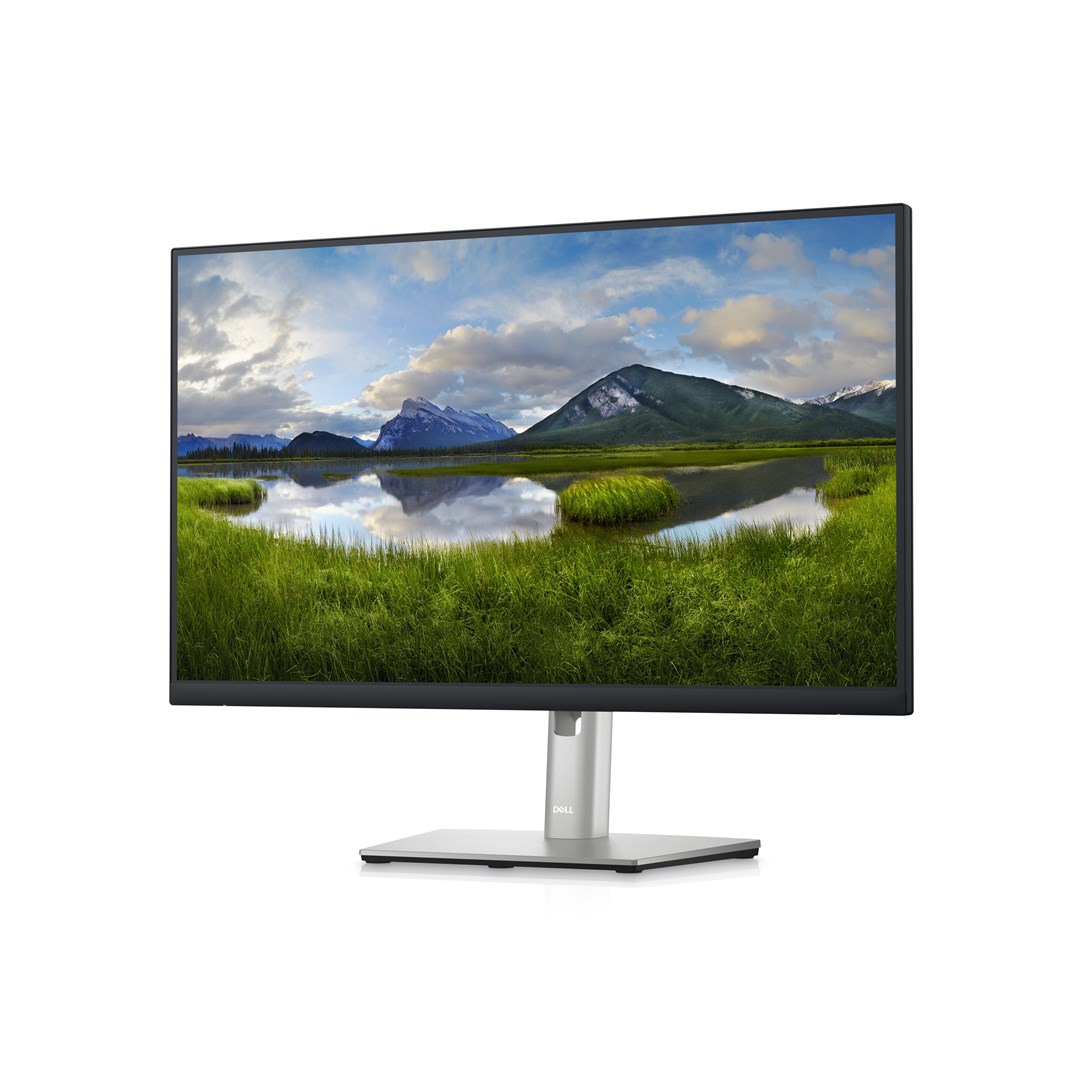 DELL P Series 24 USB-C Hub Monitor - P2423DE - Afbeelding 3