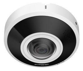 DAHUA IPC-EBW5641-AS camera