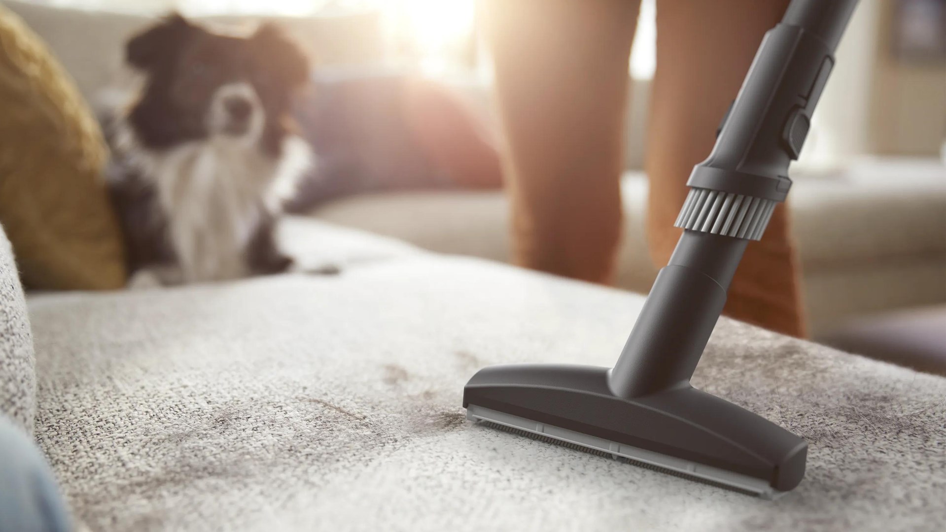 Philips Performer LED 8000 Series vacuum cleaner - Afbeelding 6