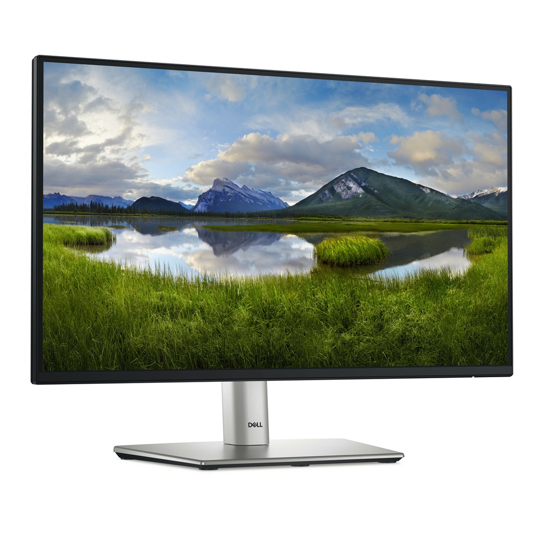 DELL P Series P2225H computer monitor 54.6 cm (21.5") 1920 x 1080 pixels Full HD LCD Black, Silver - Afbeelding 3