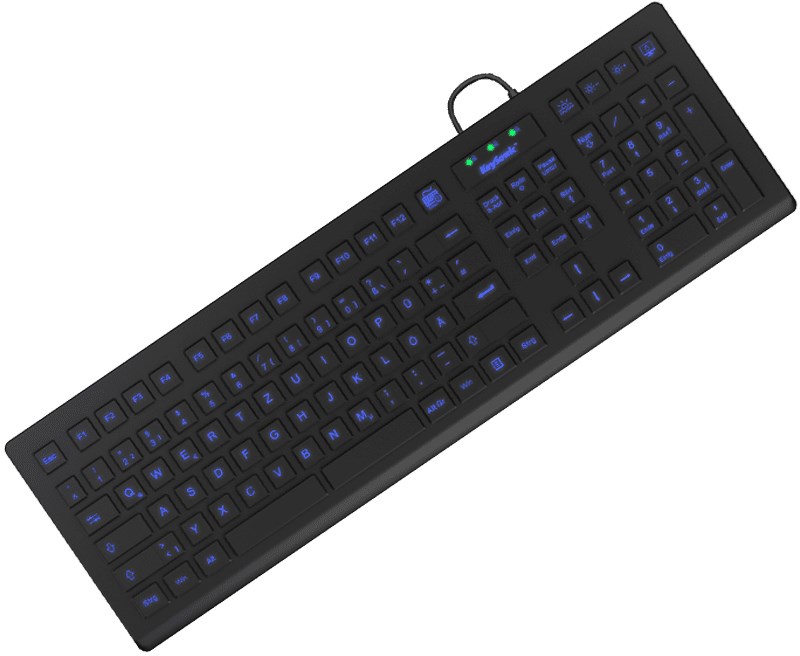 KeySonic KSK-8031INEL-B (DE) keyboard Industrial USB QWERTZ German Black - Afbeelding 2