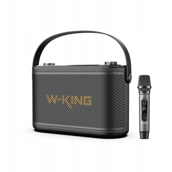 W-KING H10s Wireless Bluetooth Speaker – Black