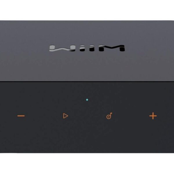 WiiM Pro Plus - network player