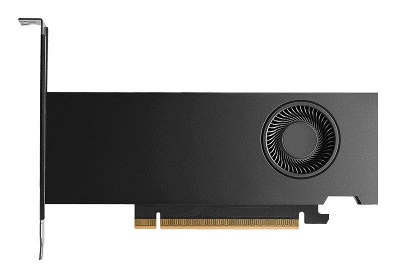 NVIDIA PNY RTX PRO 2000 Blackwell - 16 GB GDDR7 grafische kaart