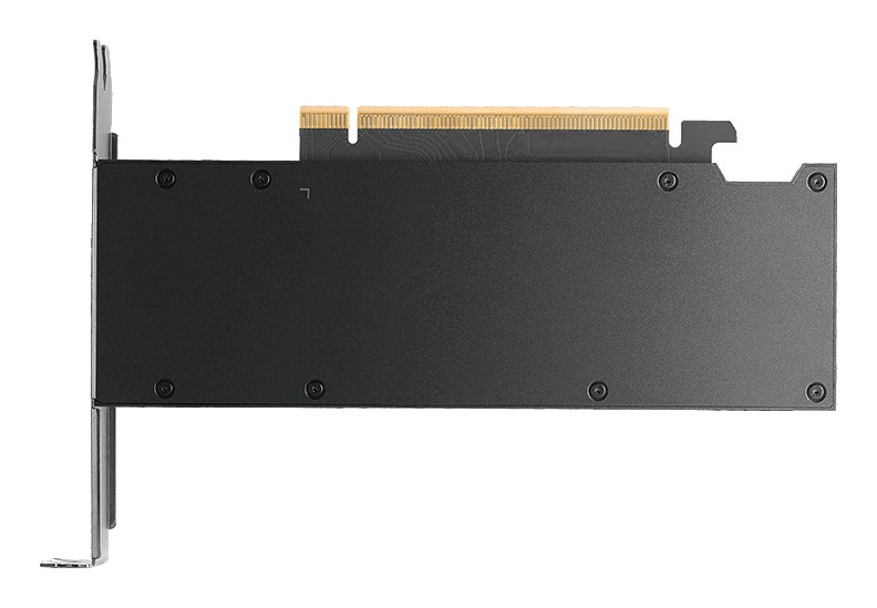 NVIDIA PNY RTX PRO 2000 Blackwell - 16 GB GDDR7 grafische kaart