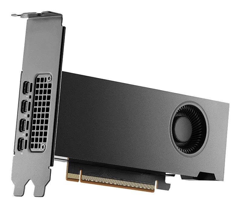 NVIDIA PNY RTX PRO 2000 Blackwell - 16 GB GDDR7 grafische kaart