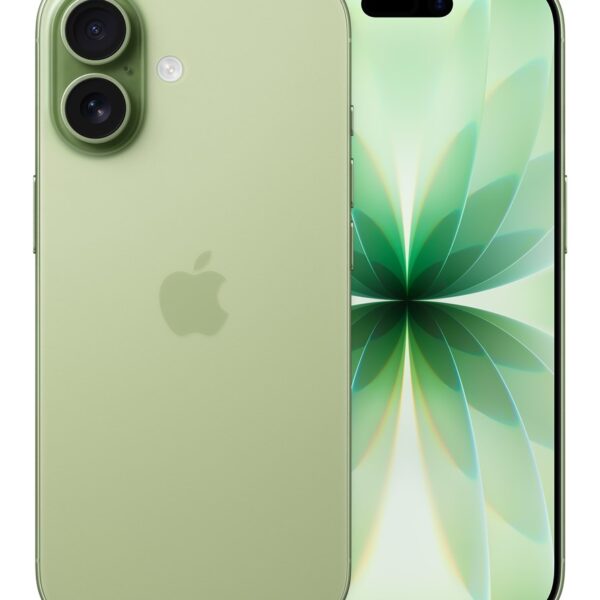Apple iPhone 17 16 cm (6.3") Dual SIM iOS 26 5G USB Type-C 256 GB Salie