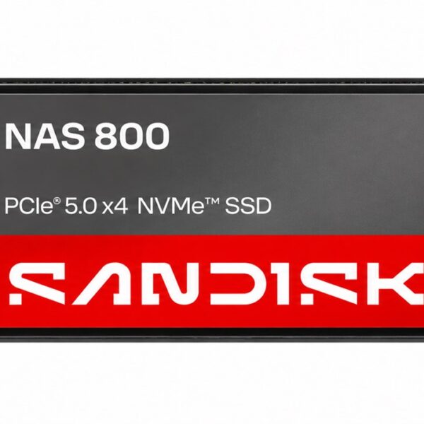 SANDISK 1,92 TB NAS 800 NVMe™ SSD SDSNP2192TAN
