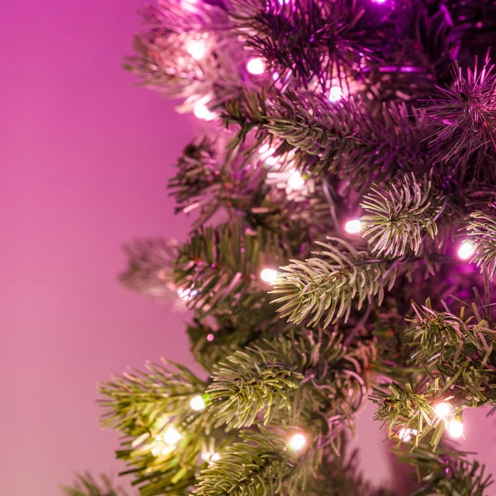 Twinkly voorverlichte krans 50 RGB LED Groene draad Stekker type C