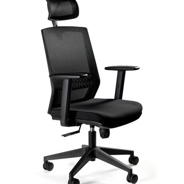 Ergonomische bureaustoel ESTA zwart