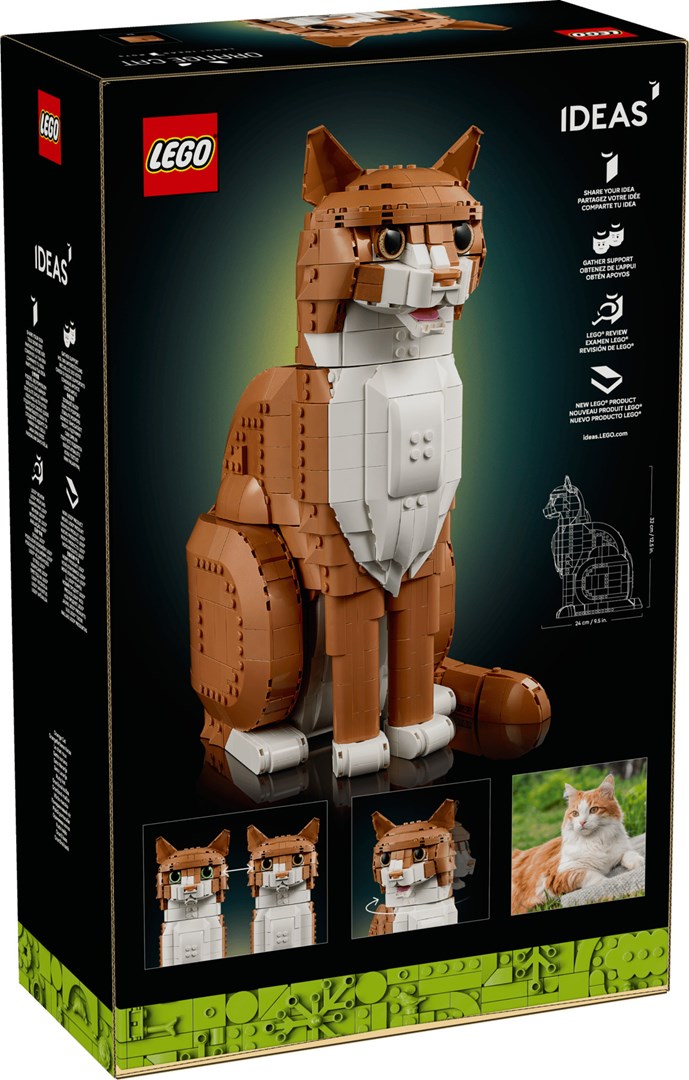 LEGO IDEAS 21376 Oranje kat