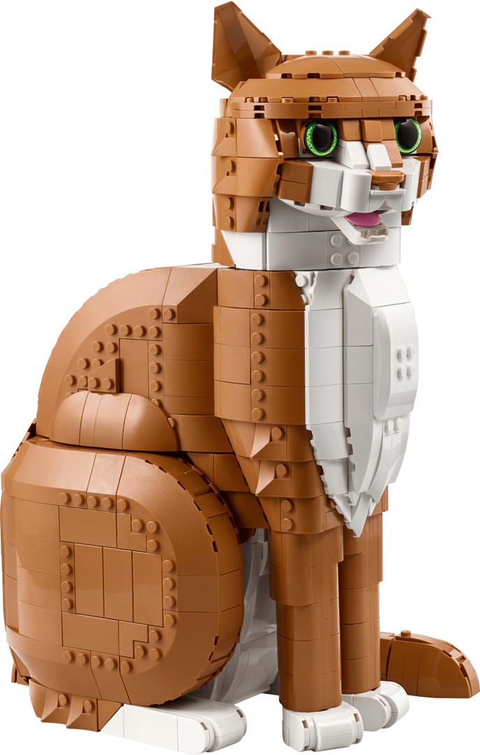 LEGO IDEAS 21376 Oranje kat