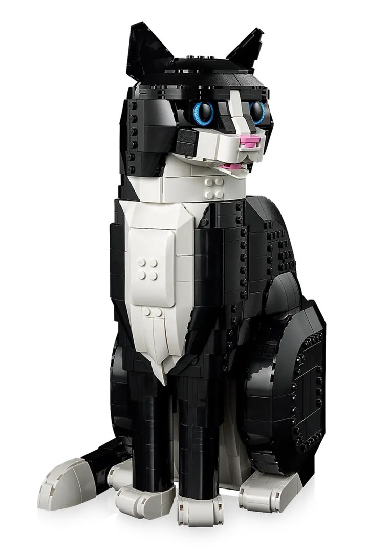 LEGO IDEAS 21349 Zwart-witte kat