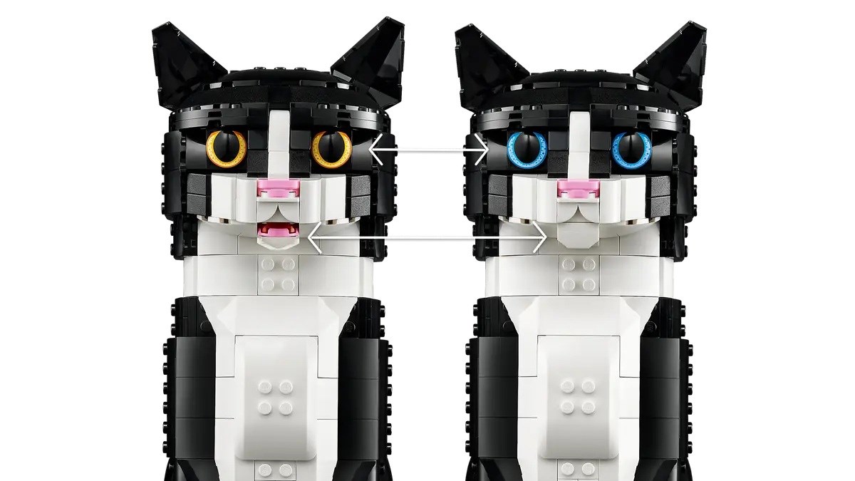LEGO IDEAS 21349 Zwart-witte kat