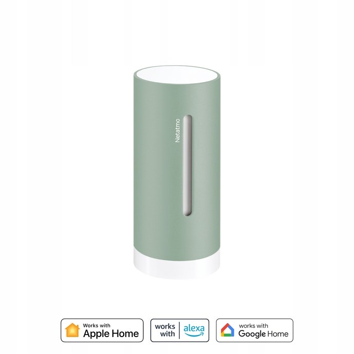 Binnenmodule Original NETATMO NIM-M Mint